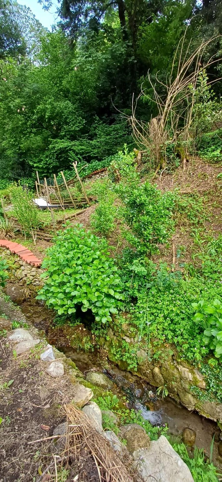 La Casetta Nel Verde Como Kültér fotó